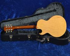 Archtop Tribute AT105 Jr._4