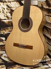 Paco Castillo パコ・カスティージョ 211F 松・シカモア 【日本総本店2F 在庫品】_2