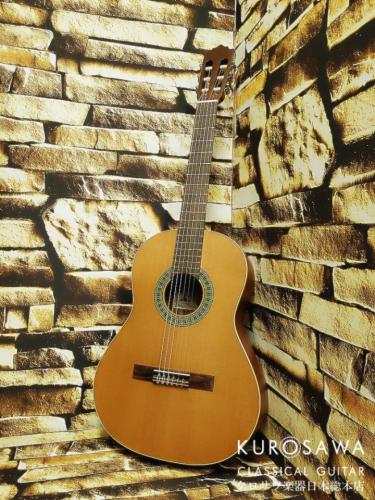 Paco Castillo パコ・カスティージョ 201 Matt 3/4 杉・サペリ 580mm ショートスケール【日本総本店2F 在庫品】