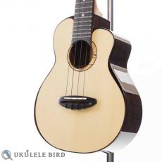 aNueNue aNN-UC200 Concert_2
