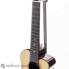 aNueNue aNN-UC200 Concert_5