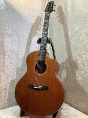 NATASHA 【新生活応援フェア!! 4/30迄】 Vitalis #240911578 【ツリーオブライフ・オール単板】_2