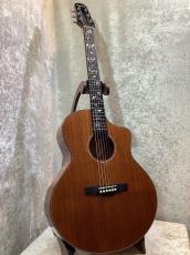 NATASHA 【新生活応援フェア!! 4/30迄】 Vitalis #240911578 【ツリーオブライフ・オール単板】_4