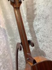 NATASHA 【新生活応援フェア!! 4/30迄】 Vitalis #240911578 【ツリーオブライフ・オール単板】_10