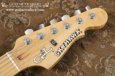 G&L 1990 Skyhawk_4