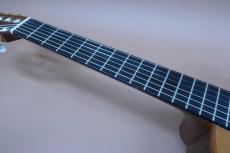 Lowden S-25J Nylon Strings / Venetian Cutaway・Solid Western Red Cedar Top・Solid Wast Indian Rosewood Side and Back・5-Piece Mahogany Neck・ Ebony Fingerboard・Jacaranda Bridge・Multi Wood Binding・Fishman Active _8