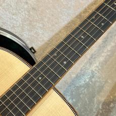 Martin 【試奏動画あり】CTM HD-28 Adirondack×Premium Rosewood #2922806【実用性・サウンド・ルックス抜群】【一音一音が太く奥深い音色】【池袋店カスタム】【当店限定特典付き】【送料当店負担】【池袋店在庫品】_5