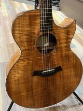 Taylor Kenny Loggins Signature Model!_3