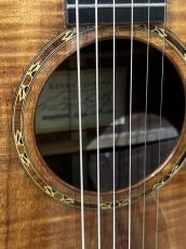 Taylor Kenny Loggins Signature Model!_5
