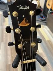 Taylor Kenny Loggins Signature Model!_6