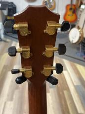 Taylor Kenny Loggins Signature Model!_7