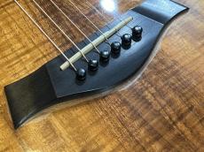 Taylor Kenny Loggins Signature Model!_8