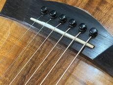 Taylor Kenny Loggins Signature Model!_9
