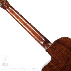 Fonzo Guitar V201S MINI VC_6