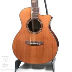 Fonzo Guitar V201C MINI VC