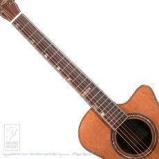 Fonzo Guitar V201C MINI VC_5