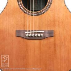 Fonzo Guitar V201C MINI VC_10