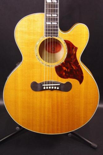 Gibson EC-30 Blues King Electro