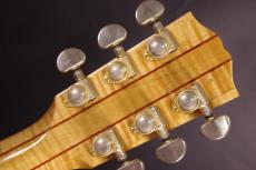 Gibson EC-30 Blues King Electro_5