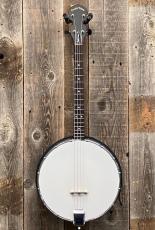 GOLD TONE AC-4IT Acoustic Compoosite Tenor Banjo_2