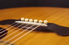 Gibson EC-30 Blues King Electro_6