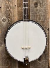 GOLD TONE AC-4IT Acoustic Compoosite Tenor Banjo_3