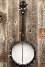 GOLD TONE AC-4IT Acoustic Compoosite Tenor Banjo_6