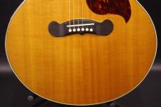 Gibson EC-30 Blues King Electro_9