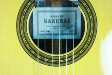 桜井正毅 P.C　松/マダガスカルローズウッド　2023年美品