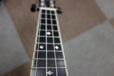 Eastman EU80 w/Pickup SAPPIRE BLUE_6