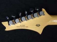 G-Life Guitars DSG Life-Ash Royal Blue Turquoise_9
