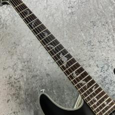 SCHECTER DAMIEN PLATINUM-6_4