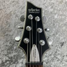 SCHECTER DAMIEN PLATINUM-6_5