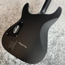 SCHECTER DAMIEN PLATINUM-6_6