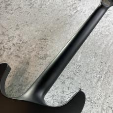 SCHECTER DAMIEN PLATINUM-6_8