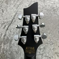 SCHECTER DAMIEN PLATINUM-6_9