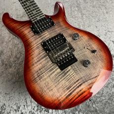 Paul Reed Smith [PRS] SE Custom 24 " Floyd" #G069231