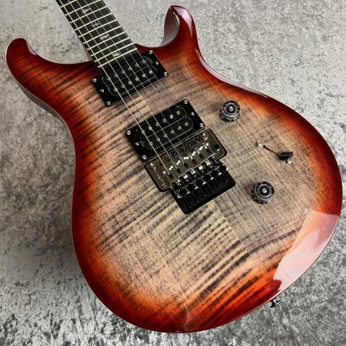 Paul Reed Smith [PRS] SE Custom 24 " Floyd" #G069231