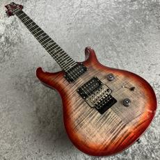Paul Reed Smith [PRS] SE Custom 24 " Floyd" #G069231_2