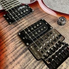 Paul Reed Smith [PRS] SE Custom 24 " Floyd" #G069231_3
