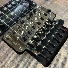 Paul Reed Smith [PRS] SE Custom 24 " Floyd" #G069231_4