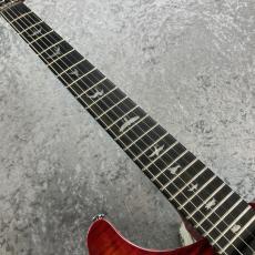 Paul Reed Smith [PRS] SE Custom 24 " Floyd" #G069231_5