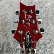 Paul Reed Smith [PRS] SE Custom 24 " Floyd" #G069231_6