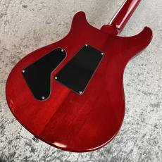 Paul Reed Smith [PRS] SE Custom 24 " Floyd" #G069231_7