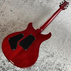 Paul Reed Smith [PRS] SE Custom 24 " Floyd" #G069231_8