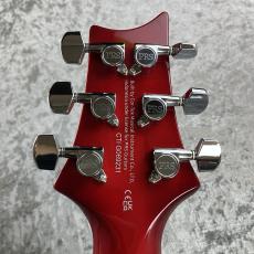 Paul Reed Smith [PRS] SE Custom 24 " Floyd" #G069231_10