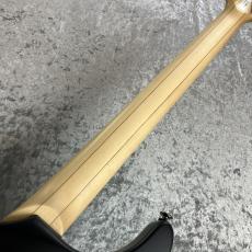 FUJIGEN EEL2-DE-HM-R/MBK #E250450_9