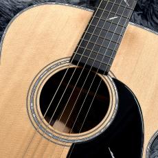 Headway The Eagle'26 Type F【Deviser One Day Guitar Show 2025 Winter出展モデル】【日本製】_5