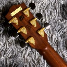 Headway The Eagle'26 Type F【Deviser One Day Guitar Show 2025 Winter出展モデル】【日本製】_8