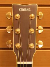 YAMAHA LS16 ARE / BS_8